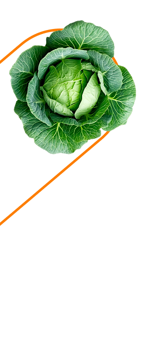 left image