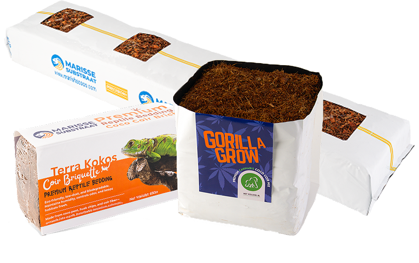 products group