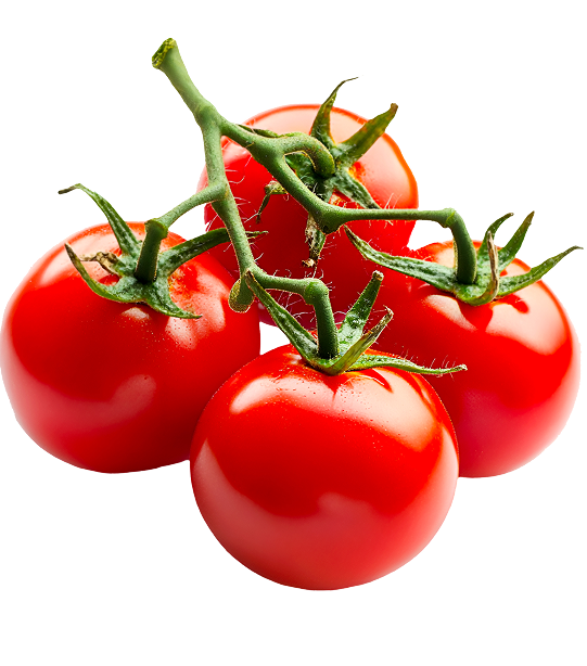 Bunch of Tomato